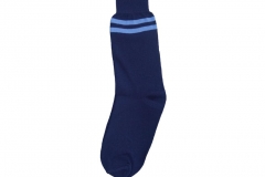Navy Blue Jhf Socks
